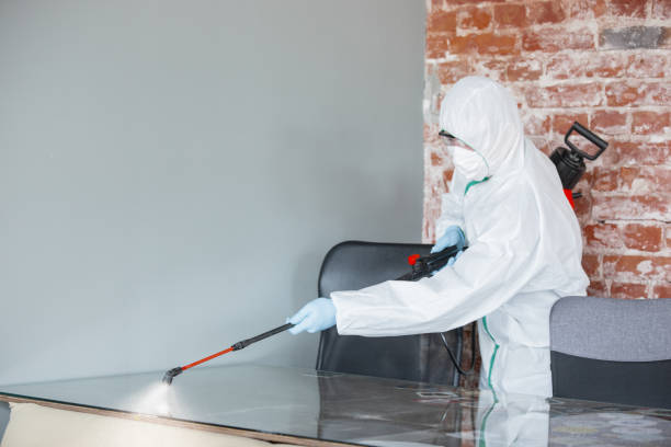 West Milton, OH Mold Removal Services Company